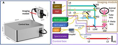 An innovative multi-modal retinal imaging system for in vivo retinal detection in small animals